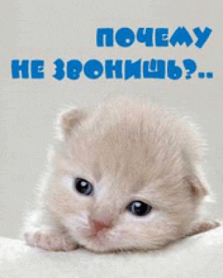 Открытки почему не звонишь не пишешь
