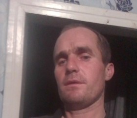 Виктор Тюменцев, 33 года, Славгород