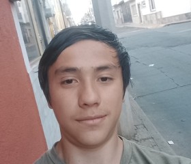 Brandon, 24 года, Tepatitlán de Morelos