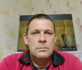 Вадим Богданов, 49 лет, Санкт-Петербург