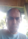 Swertillo, 47 лет, Cebu City