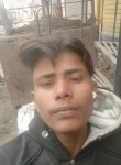 Vivek Rana ji, 22 года, Delhi