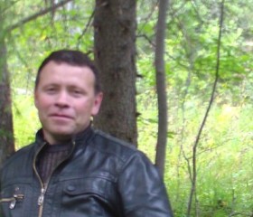 Виктор, 51 год, Туринск