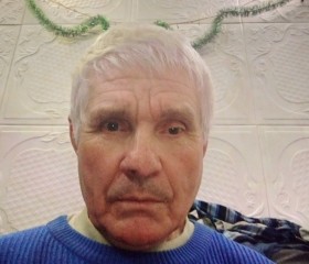 Николай Павлюк, 73 года, Макіївка