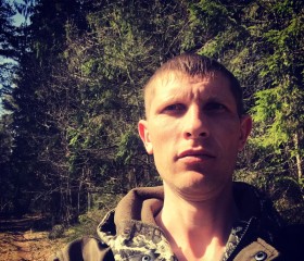 Алексей, 37 лет, Западная Двина