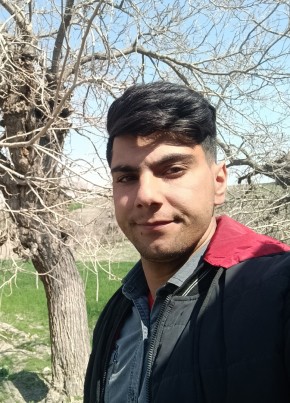 محسن, 29, كِشوَرِ شاهَنشاهئ ايران, مشهد