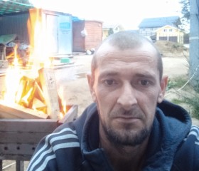 Виктор Миронов, 39 лет, Симферополь