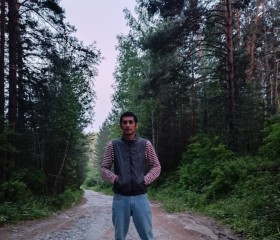 тимур, 27 лет, Новосибирск