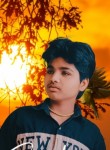 Prince, 18 лет, Jalandhar