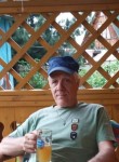Viktor, 74, Novosibirsk