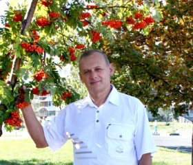 Николай, 67 лет, Белгород