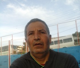Agustin Alba Cha, 41 год, Barbosa (Santander)