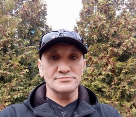 Дмитрий Ан, 46 лет, Копейск