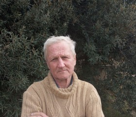 Vladimir, 65, Sevastopol