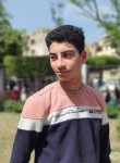 احمد, 19 лет, تلا