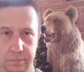 Дмитрий, 42 года, Горад Мінск
