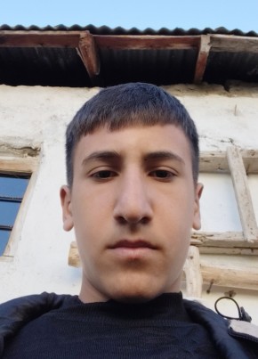 Emir, 18, Turkey, Ercis