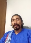 Fernando , 42 года, Ciudad de Panamá