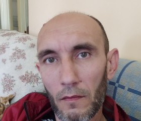 Тим, 43 года, Samarqand