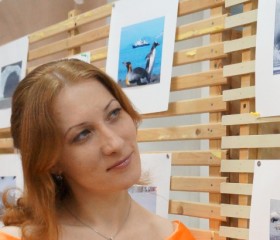 Дарья, 42 года, Архангельск