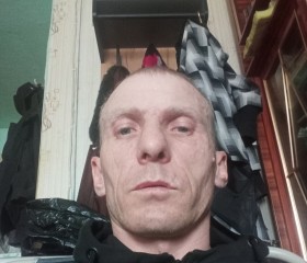 Денис, 42 года, Лесозаводск