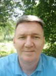 Дмитрий Двизов, 52 года, Челябинск