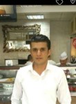 Erhan, 39 лет, Beyşehir