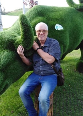Михаил Пономарев, 69, Россия, Санкт-Петербург
