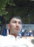 Бория, 32 года, Toshkent