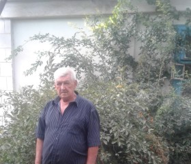 Рома, 65 лет, Бишкек