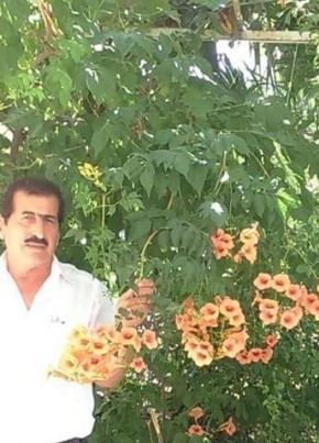 Mahmut, 69, Türkiye Cumhuriyeti, Mersin