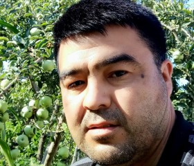 Donyorjon Husanb, 20 лет, Бишкек