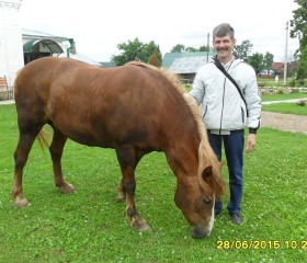 Андрей, 53 года, Иваново