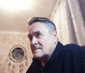Александр, 68 лет, Медведовская