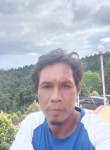 Ahmad Tohari, 39 лет, Kota Kendari