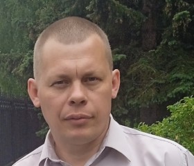 Виталий, 45 лет, Владимир