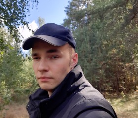Denis, 27, Pokrov
