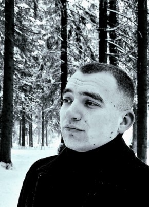 Дмитрий из Петрозаводска 33 года