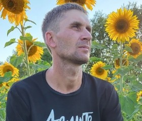 Алексей, 37 лет, Камень-на-Оби