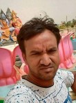 Vashu, 36 лет, Ahmedabad