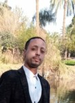 احمد, 31 год, القاهرة