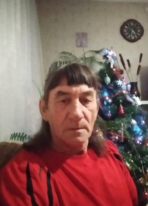 Вик, 63, Россия, Кировский