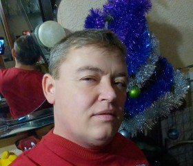 Вячеслав, 47 лет, Борисовка