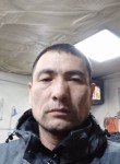 Эмиль Орозакунов, 46 лет, Бишкек