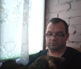 Алексей, 45 лет, Волхов