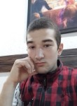 Альберт, 22 года, Ставрополь