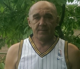 Владимир, 62 года, Ярмолинці