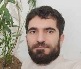 Arash, 41, Tehran