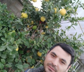 Навруз Иргашев, 34 года, Samarqand