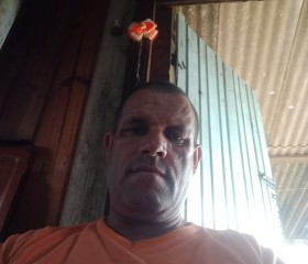 Valdomiro, 48 лет, Santa Cruz do Sul